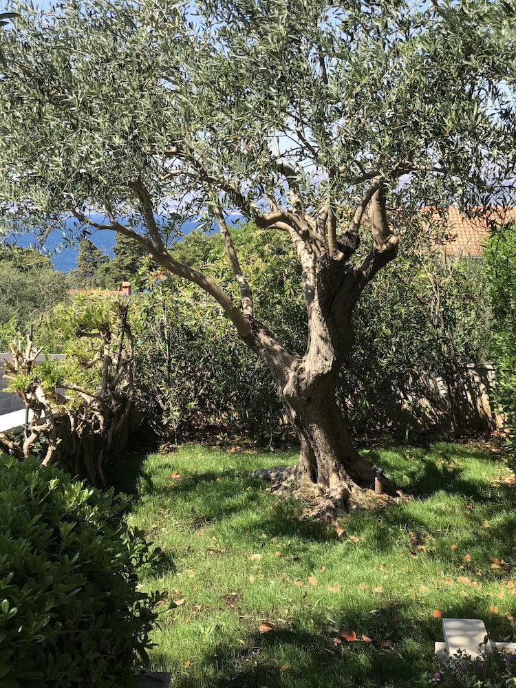VILA KETI 44/50