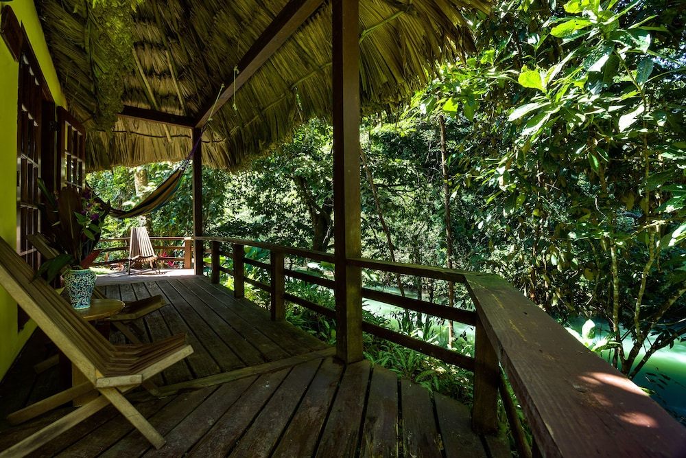 Tanager RainForest Lodge 26/64