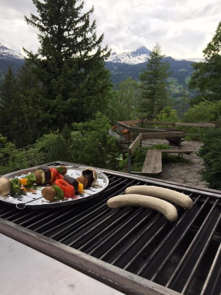 Grindelwald Youth Hostel 11/65