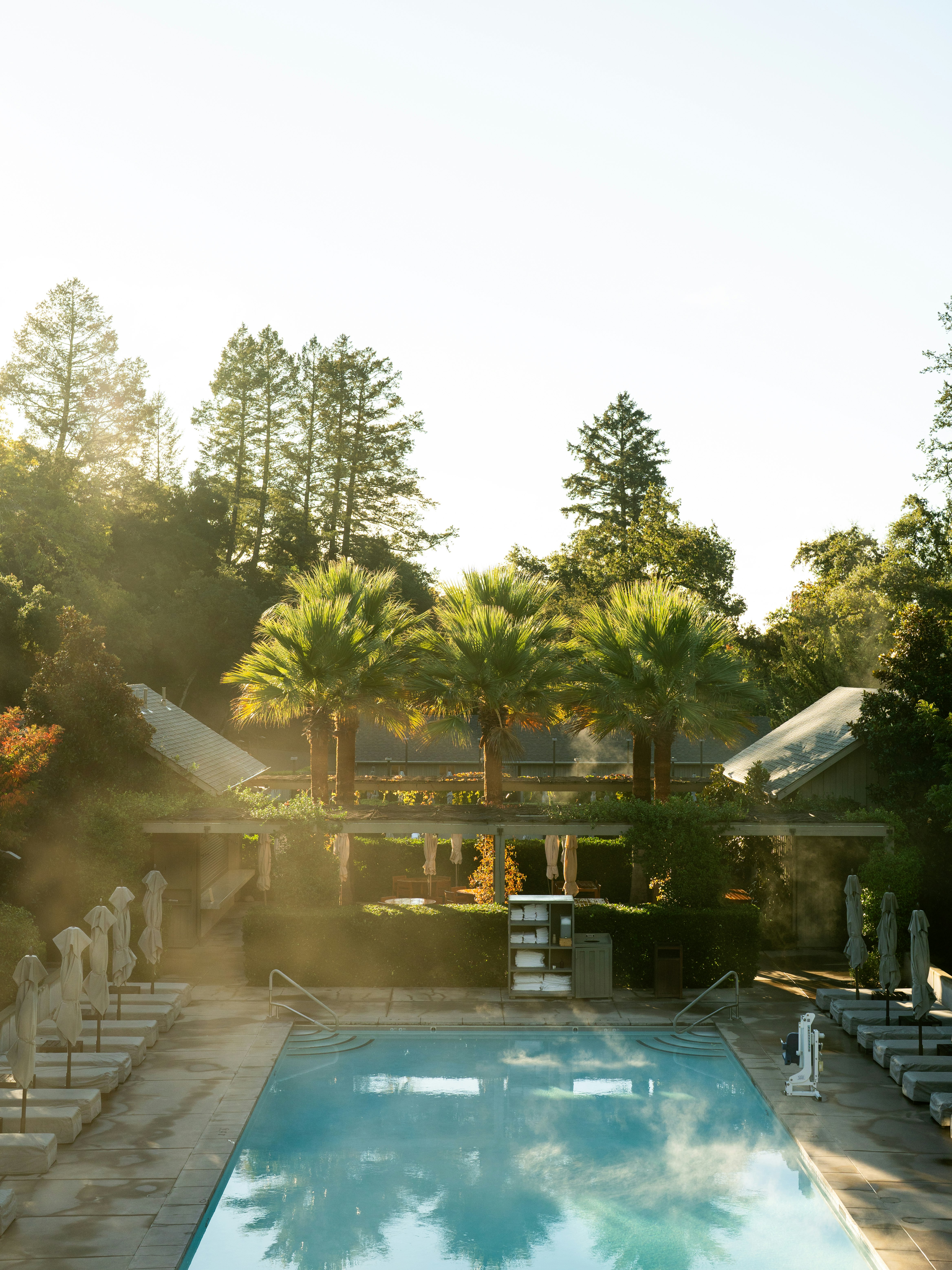 Meadowood Napa Valley 41/50
