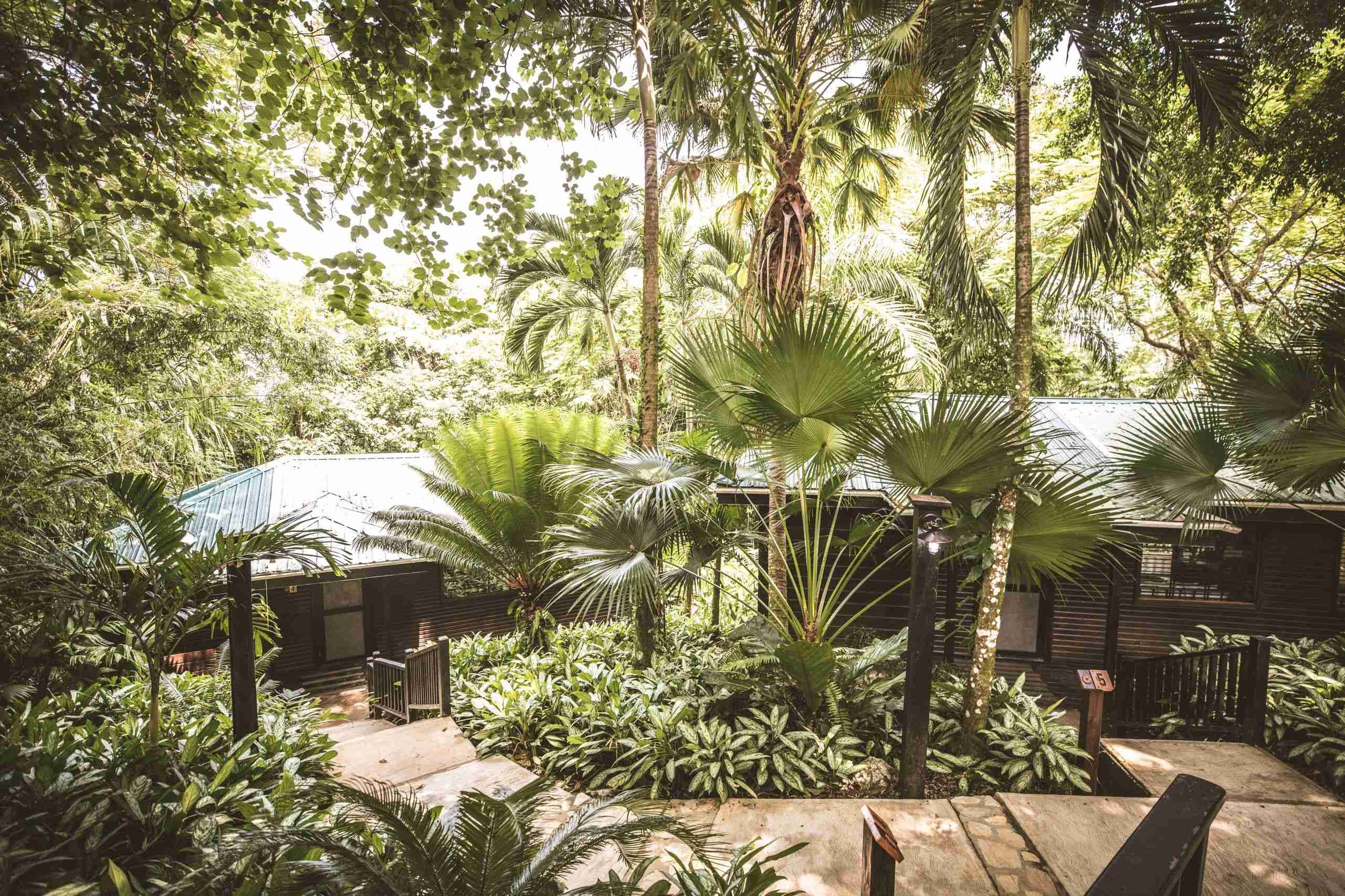 Copal Tree Lodge, a Muy'Ono Resort 10/17