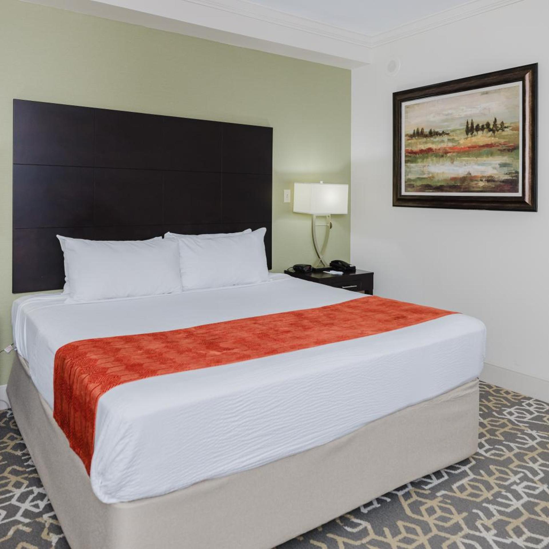 Room, King Bed