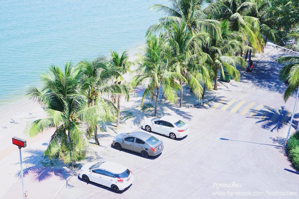 Sea Sand Trees 35/50