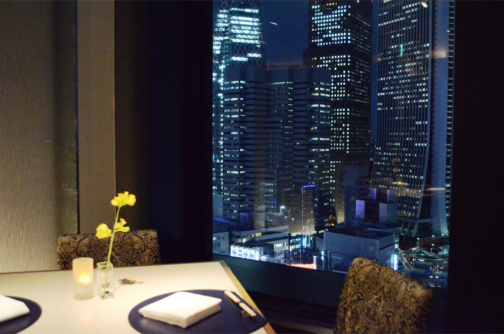 Shinjuku Prince Hotel 34/41