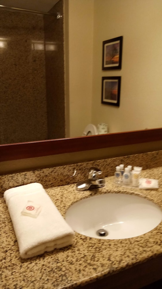 Comfort Suites Brunswick GA 16/44