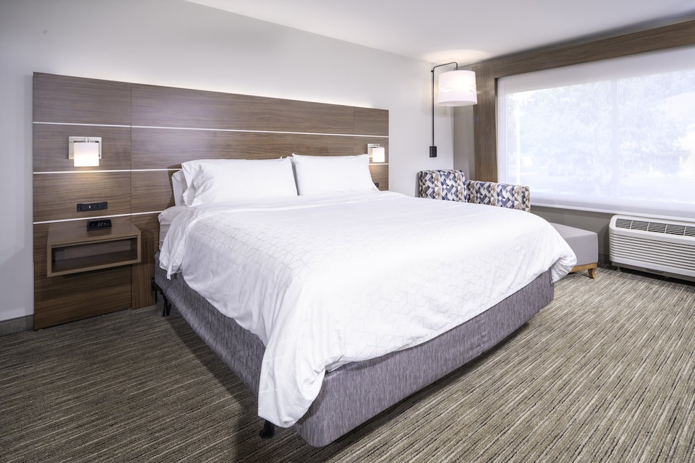 Holiday Inn Express and Suites Brevard City Center 12/51