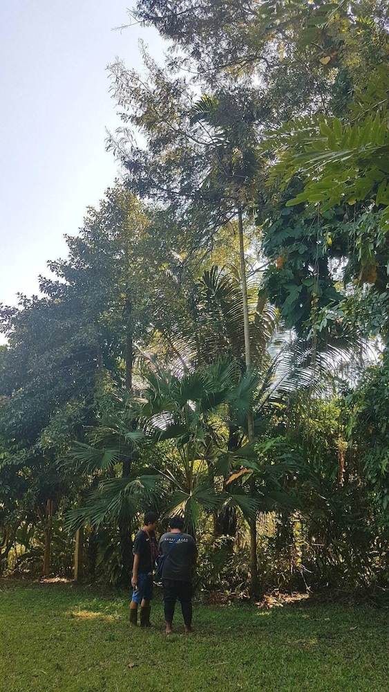 Aum Hum Homestay 37/50