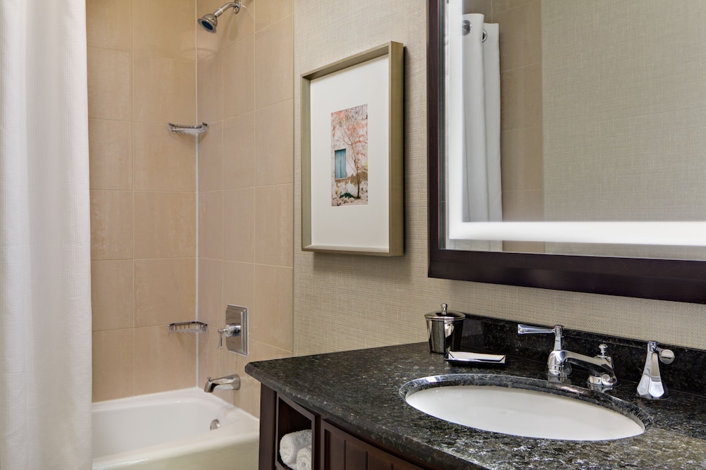 Hyatt Regency San Antonio Riverwalk 16/83
