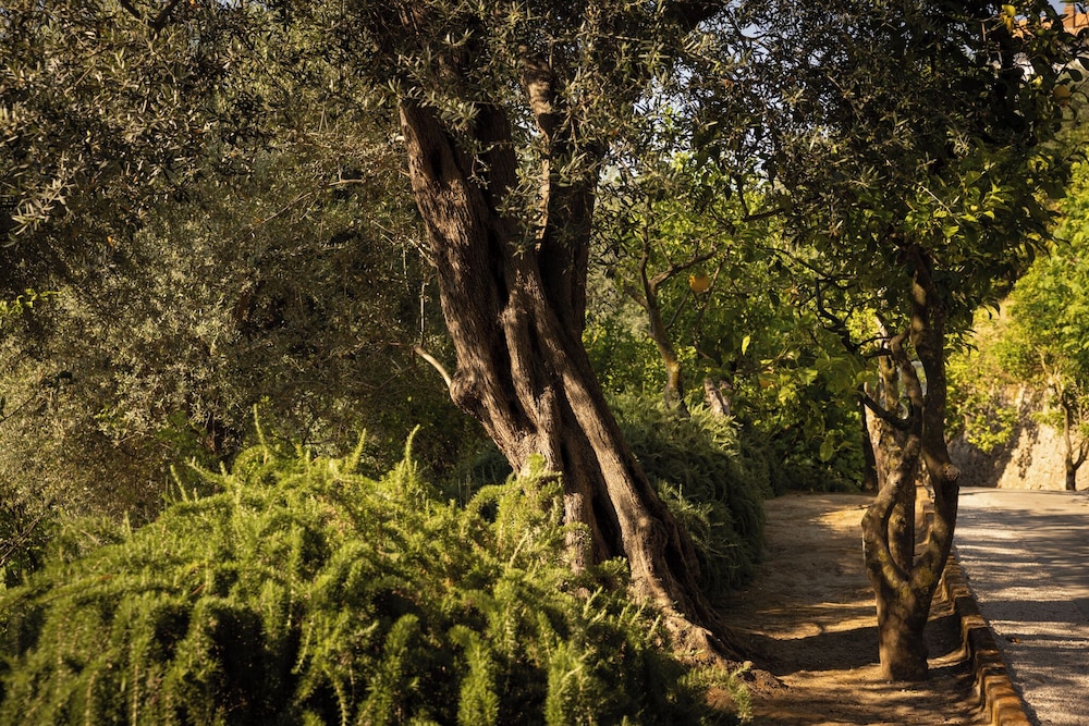 Villa Oriana Relais 59/62