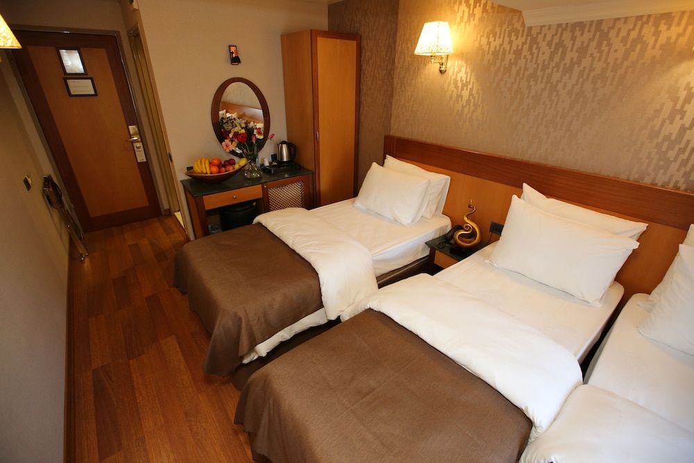 Peak Star Hotel Taksim 19/65
