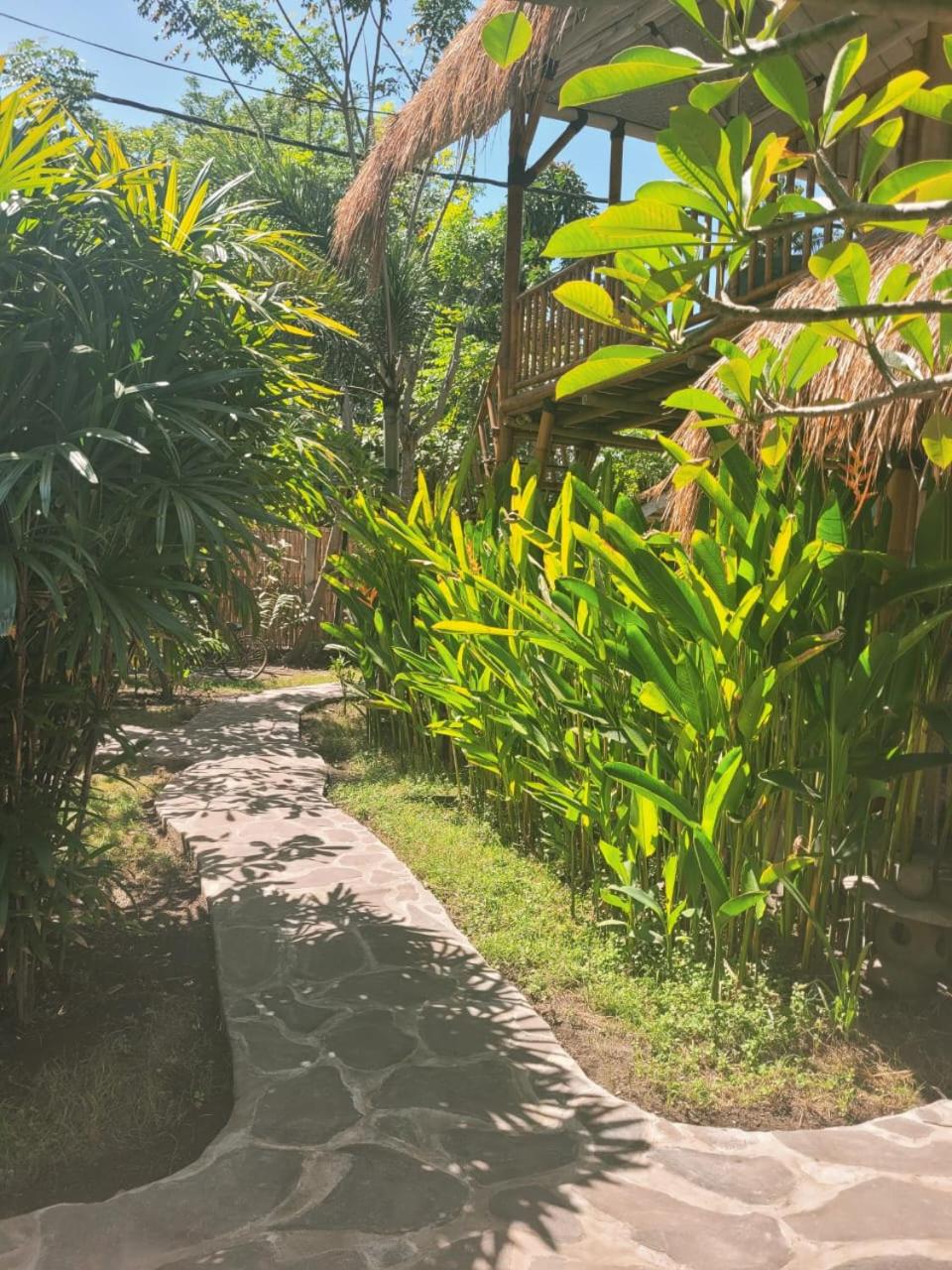 Gili Matiki 47/50