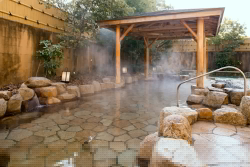 Hotel Kyoto Eminence 21/50