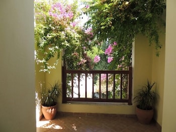 Okaliptus Otel 7/50