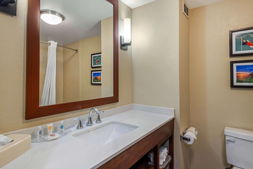 Comfort Inn & Suites Big Spring 22/39