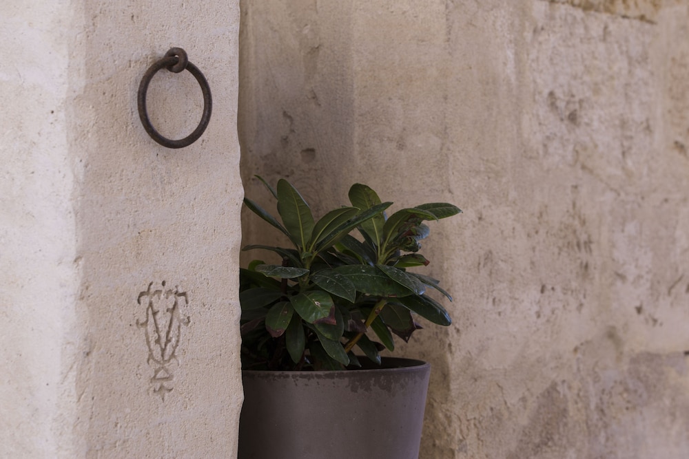 Palazzo Viceconte 11/64