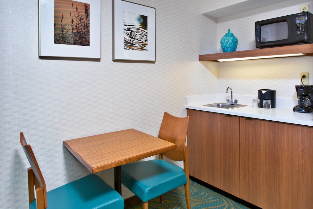 SPRINGHILL SUITES BY MARRIOTT CHICAGO ELMHURST/OAKBROOK AREA 8/36