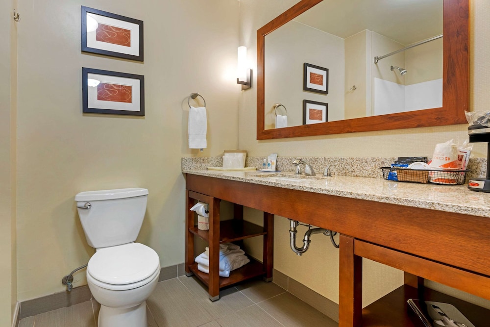 Comfort Suites Redding - Shasta Lake 23/52