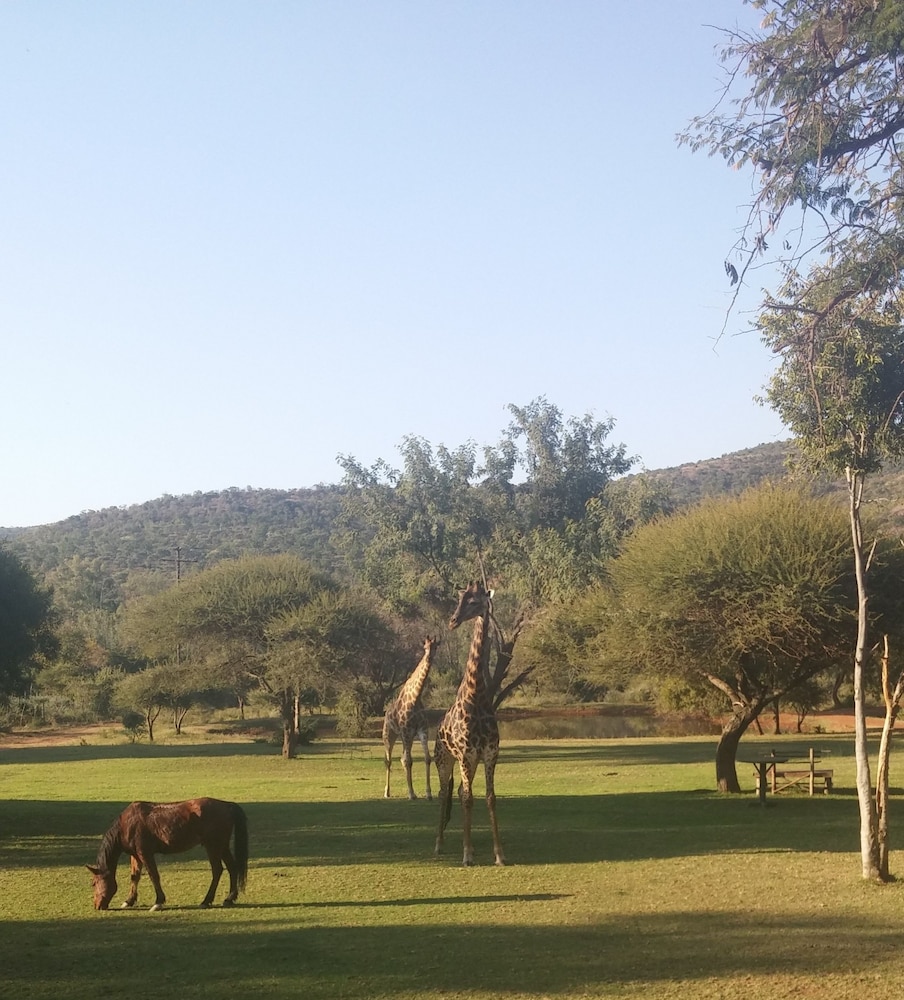 Thandile Country Lodge 18/21