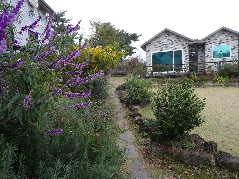 Lionhill Pension 23/26