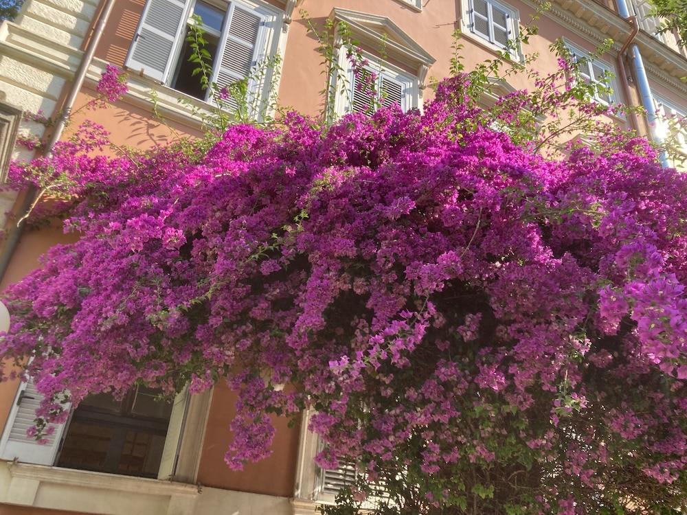 Hotel Casa Valdese 30/37