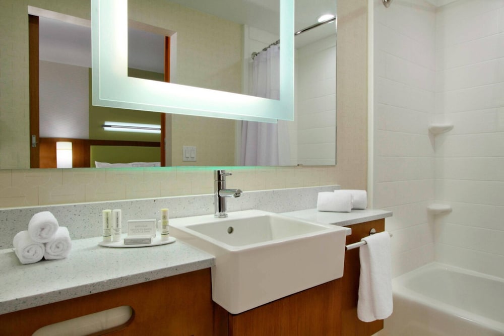 Springhill Suites Houston I-45 North 9/38