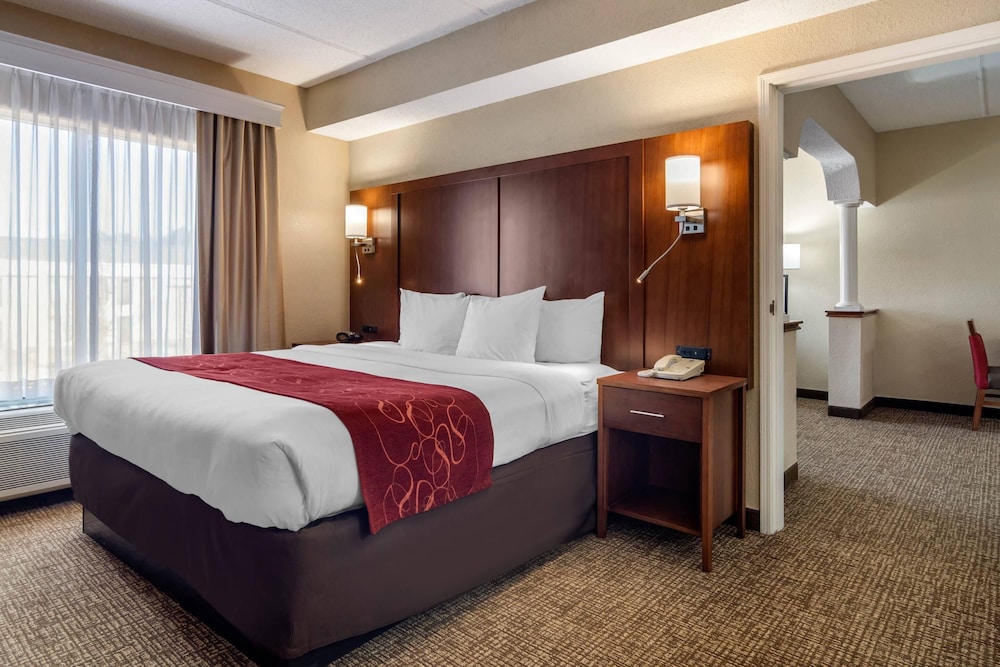 Suite, King Bed, Sofa