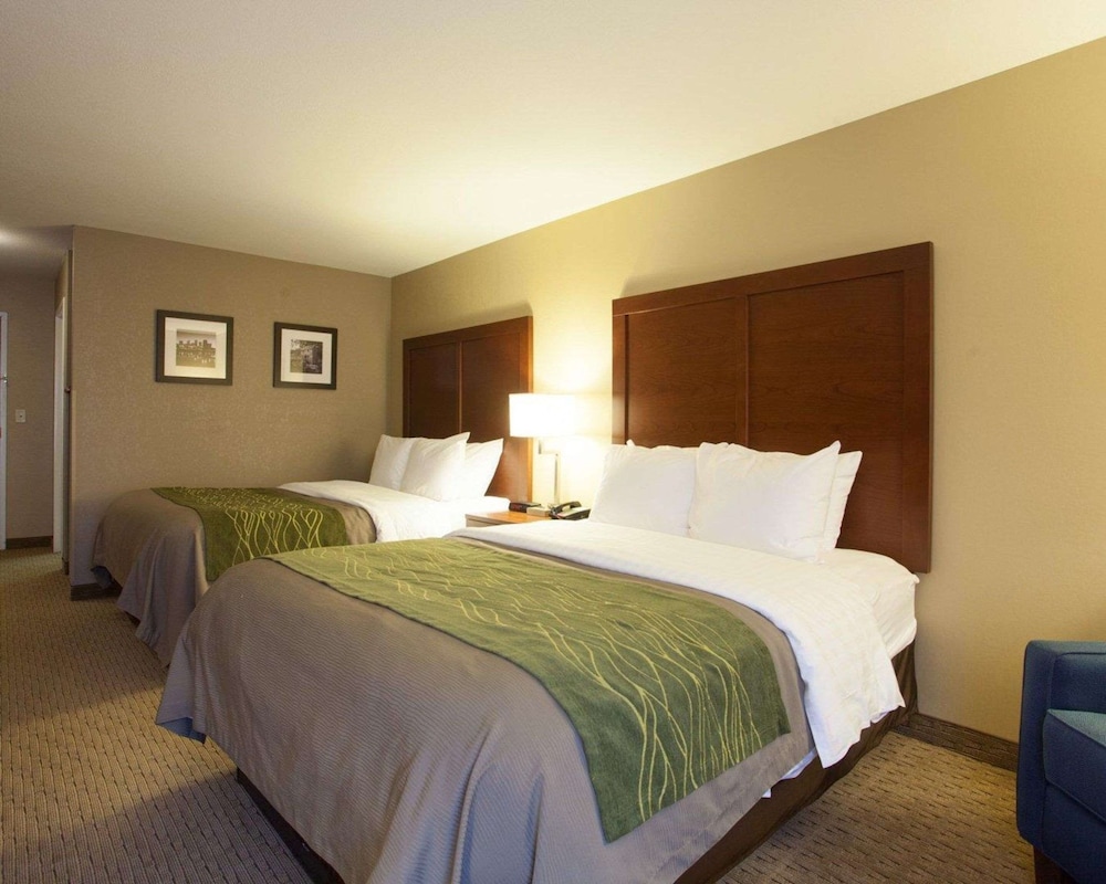 Quality Inn & Suites I-40 East 19/59