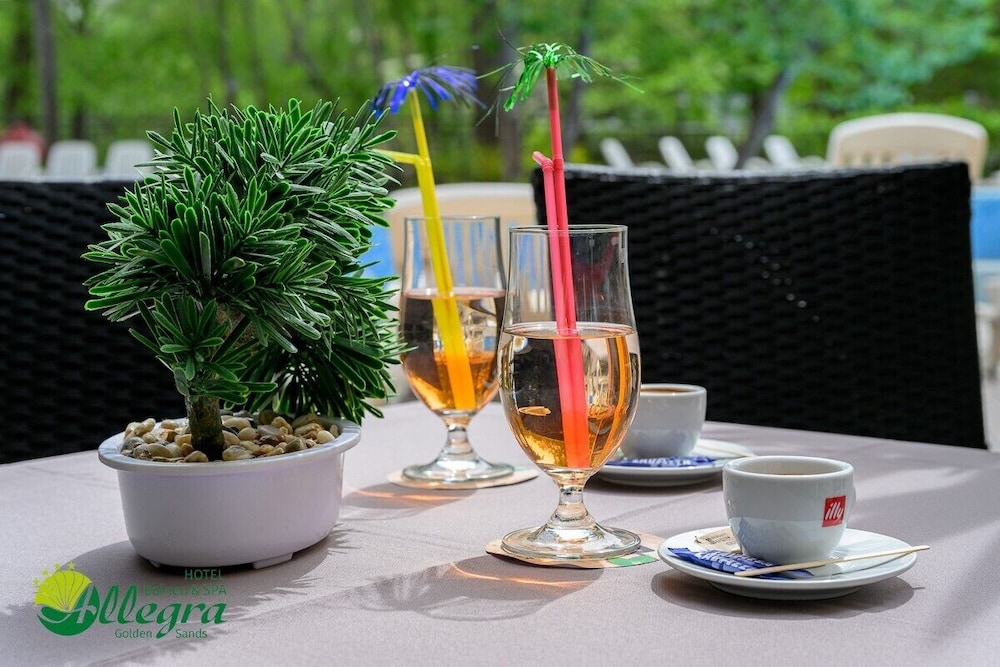 Hotel Allegra Balneo & Spa 49/63