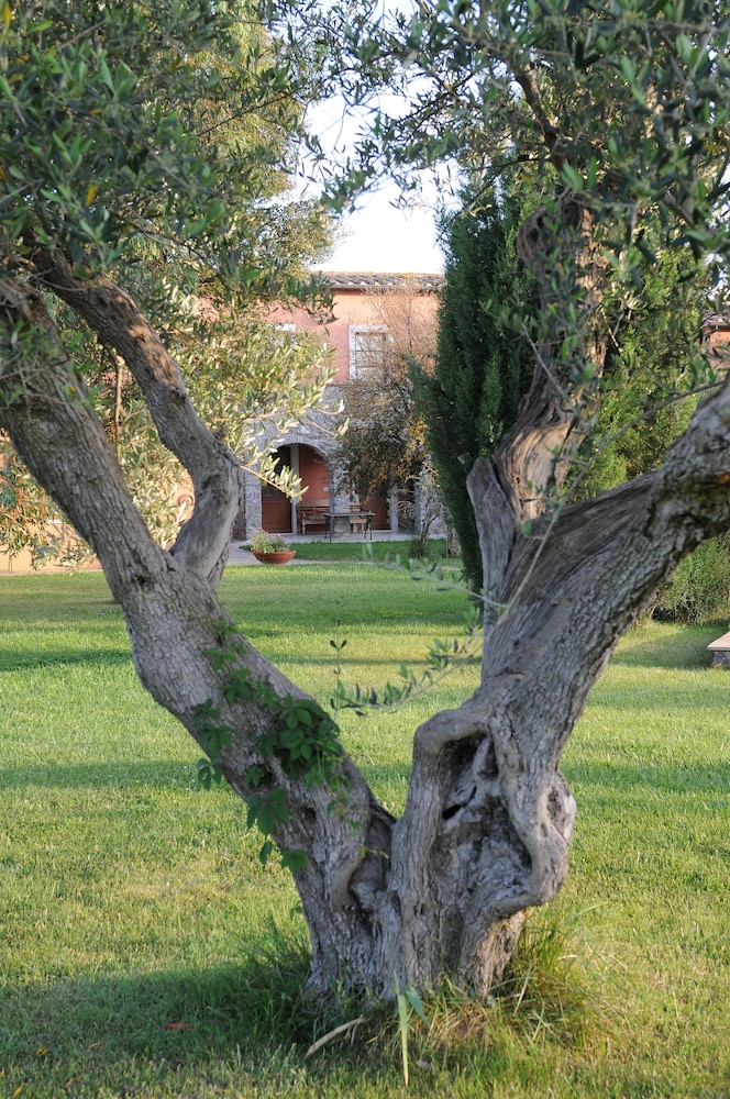 Agriturismo Le Ginestre 11/35