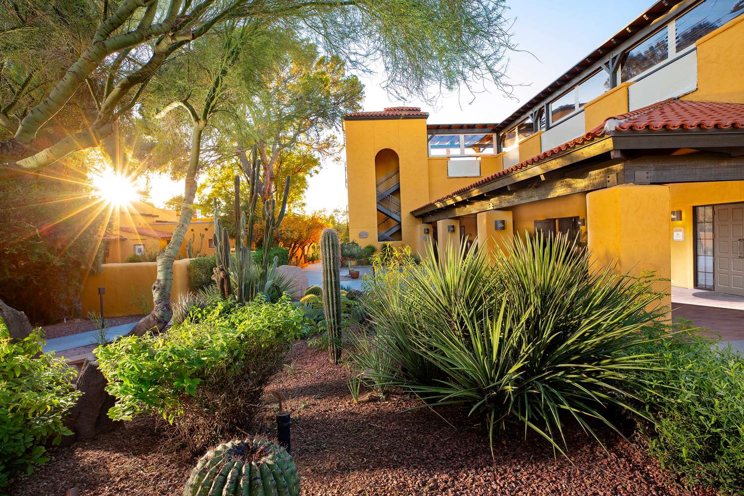 Westward Look Wyndham Grand Resort and Spa 67/74