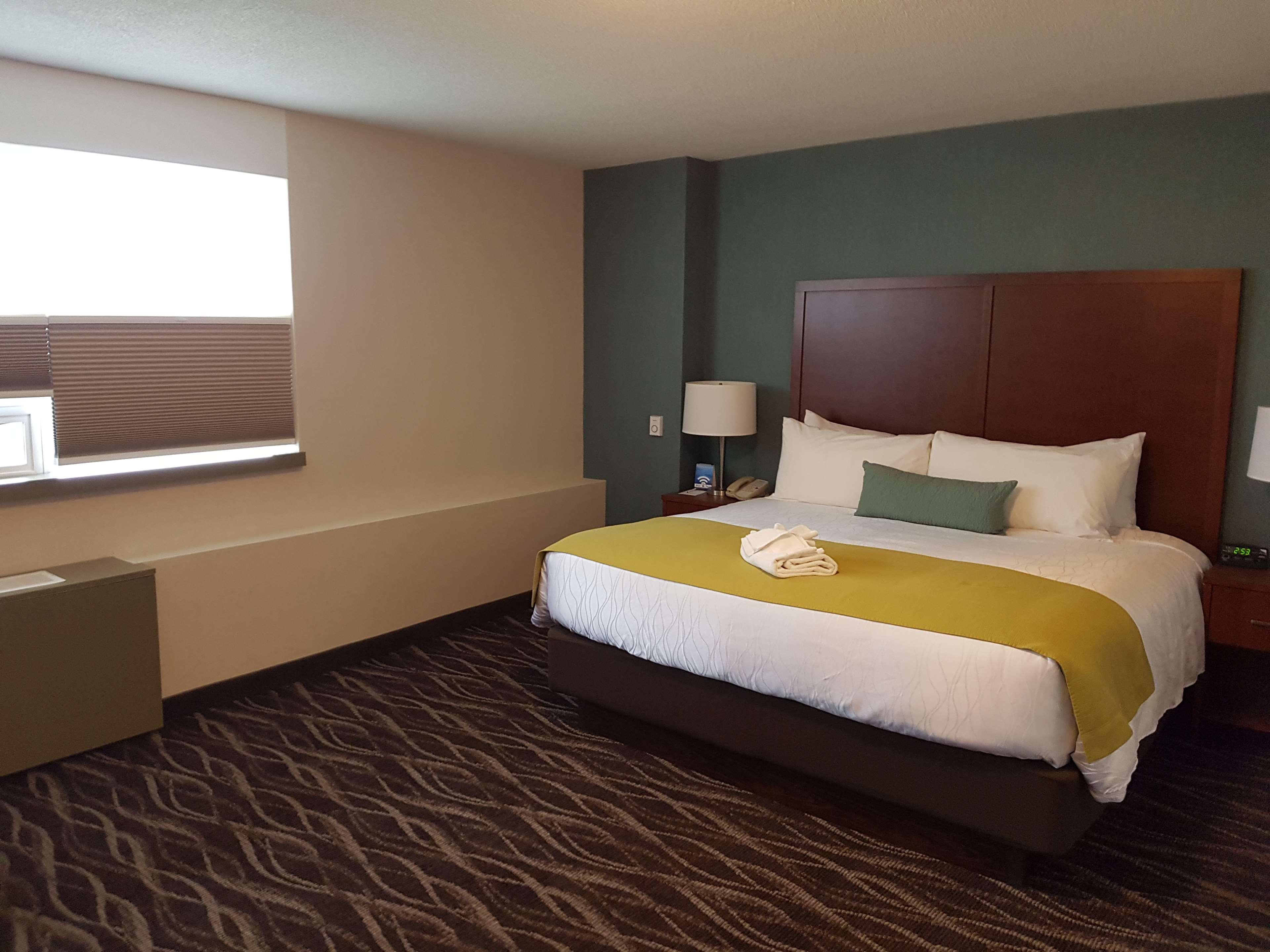 Room, Double Bed, Accessible