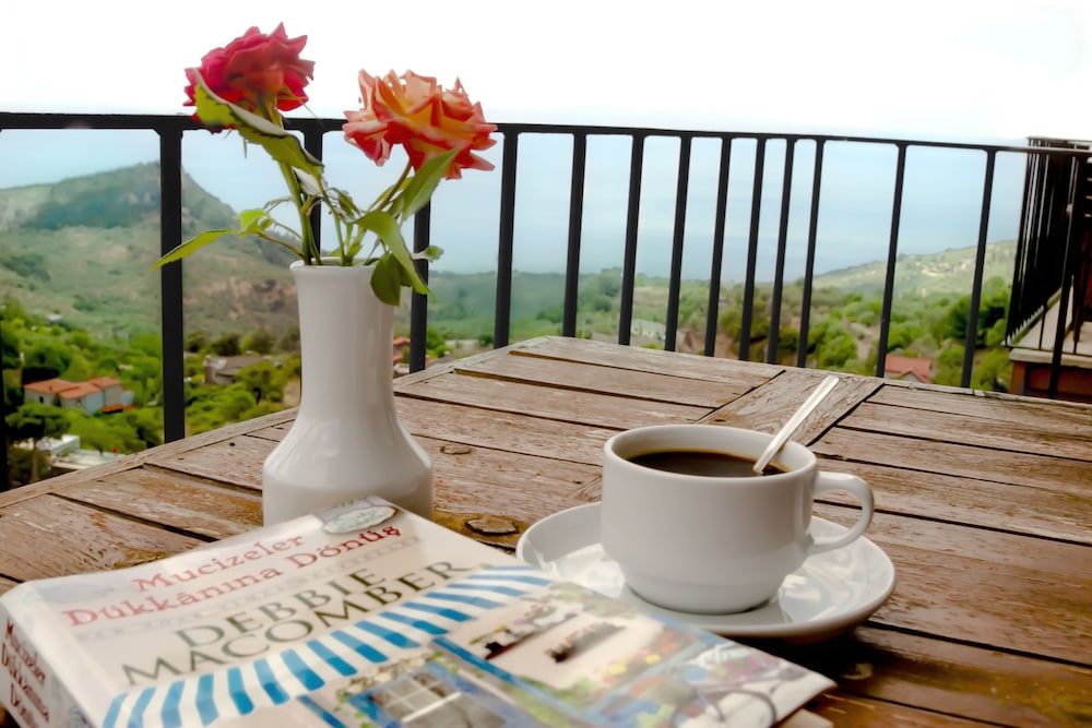 Assos Kayalar Terrace Boutique Hotel 30/50