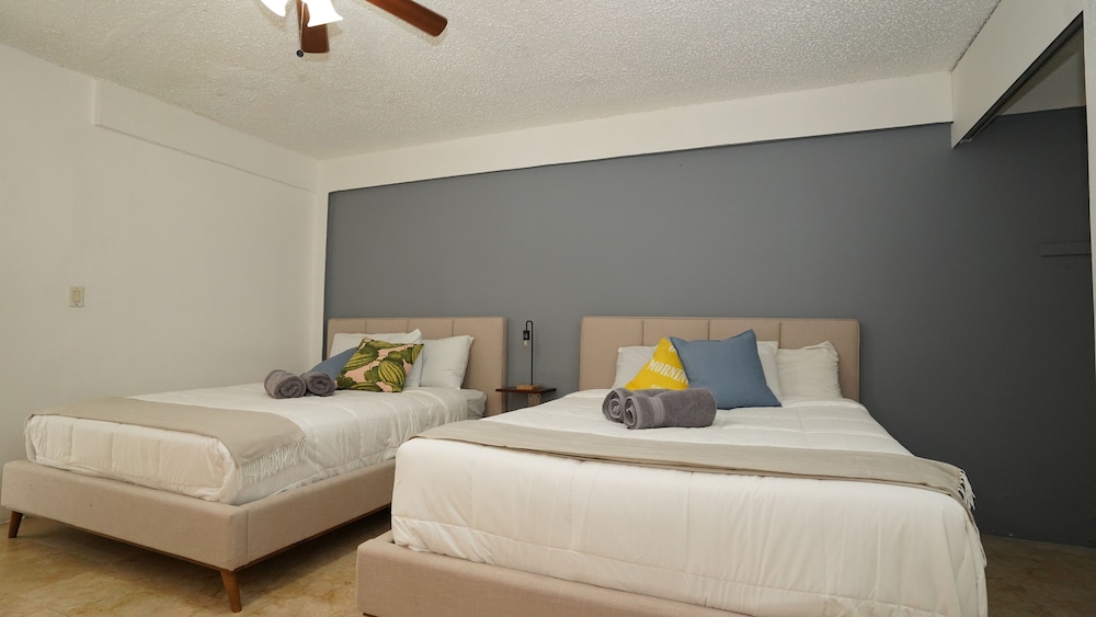 The Pelican Poshtel 11/50