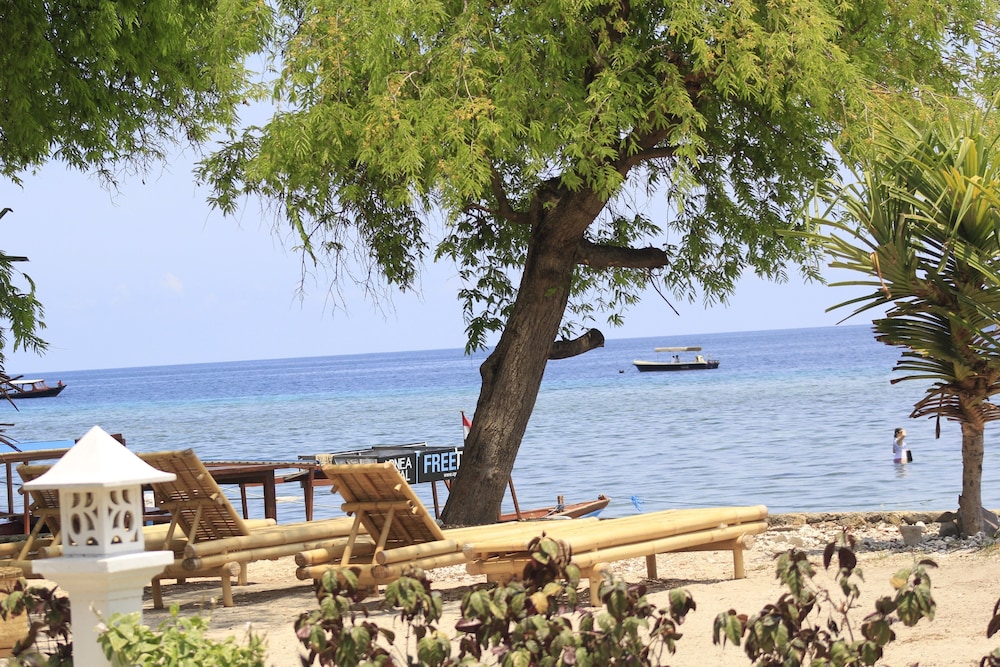 Kaluku Gili Resort 20/40