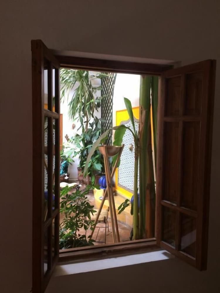 RIAD IRENE 25/50