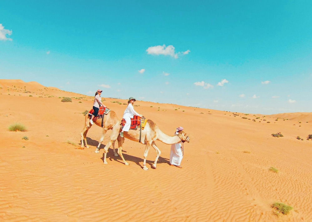 Sama Al Wasil Desert Camp 53/63