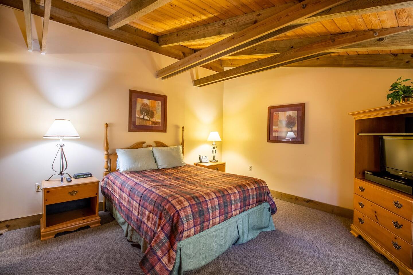 Wilderness Presidential Resort 15/50