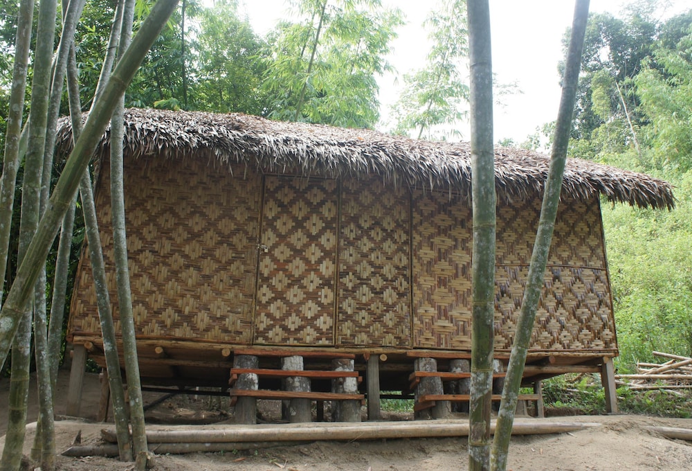 Rain Forest Inn 2/66
