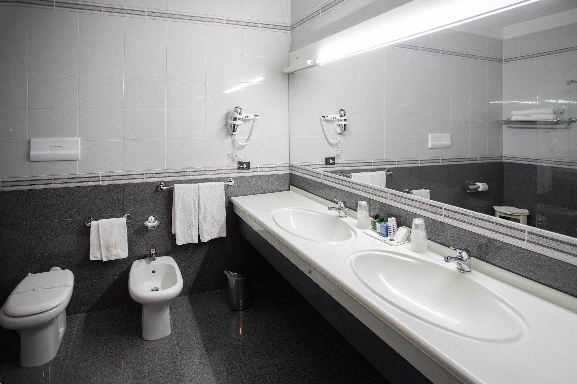 غرفة قياسية بسرير مزدوج، Hotel Ariston 3/3
