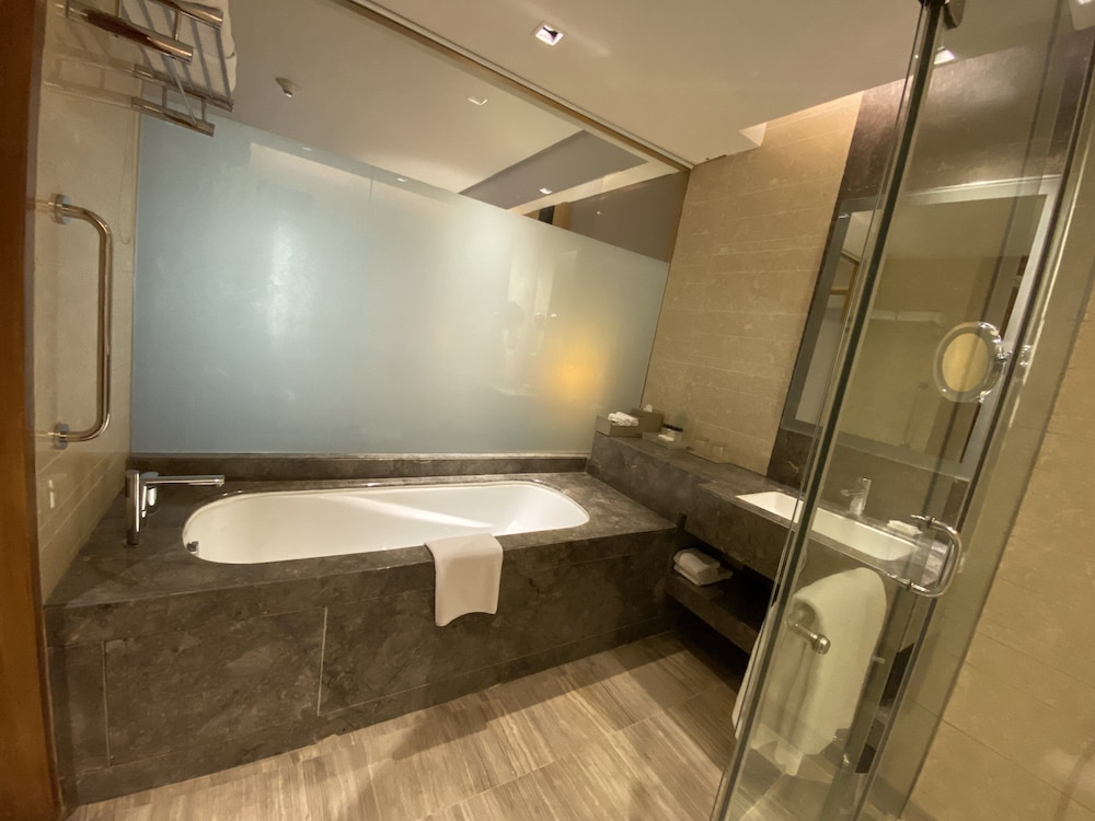 Holiday Inn New Delhi Mayur Vihar Noida 32/74
