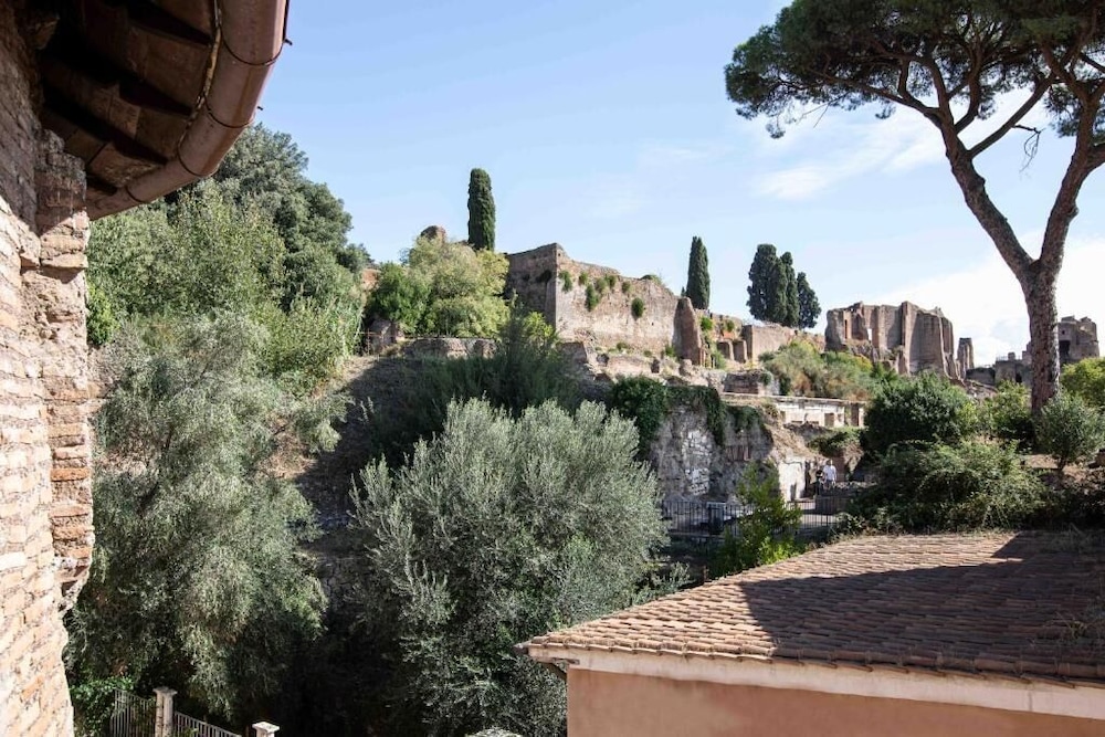 Il Monastero Collection 20/50