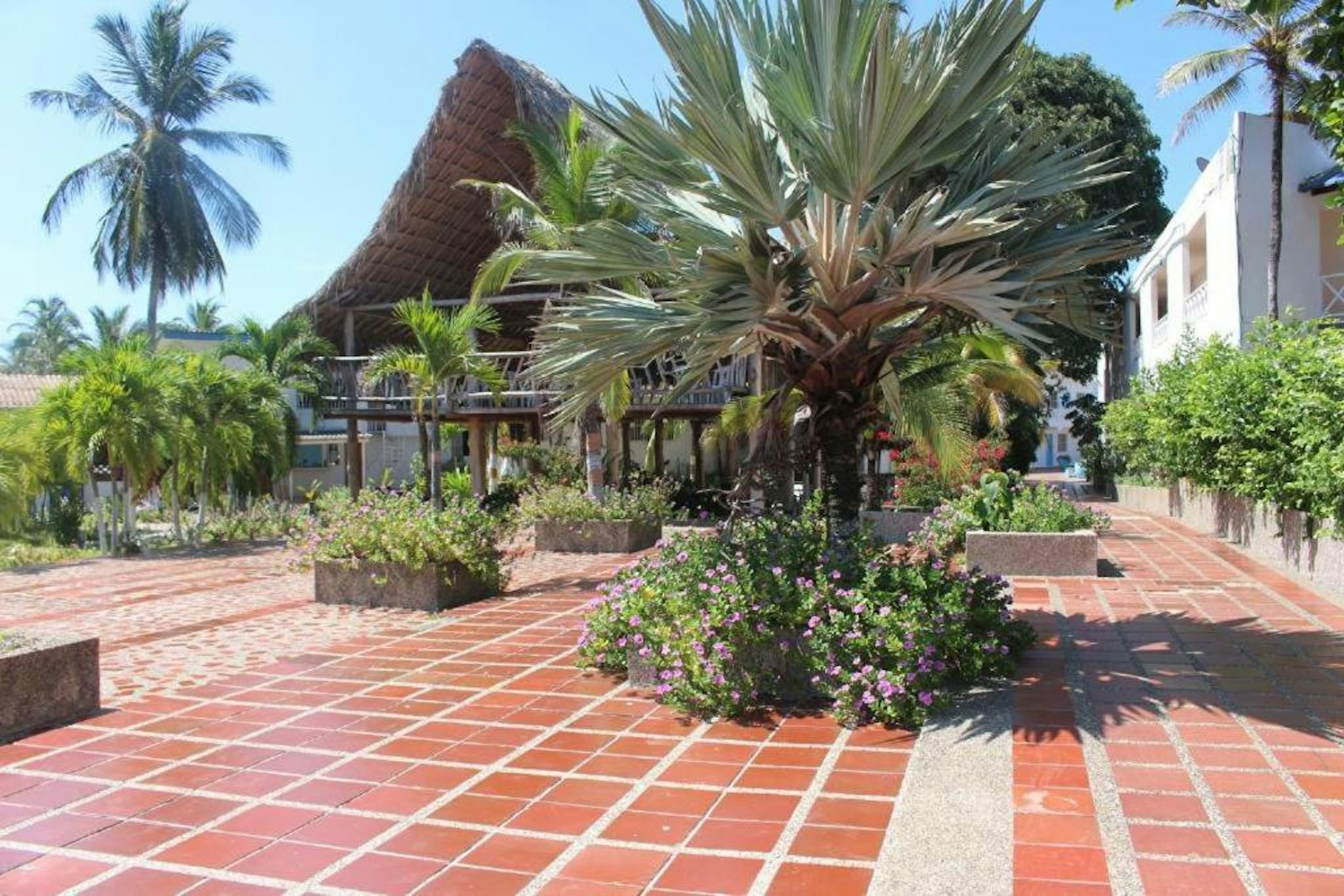 Hotel Dorado Plaza Punta Arena 1/6