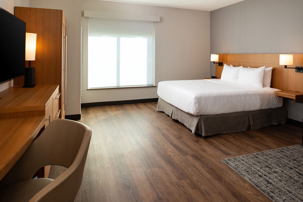 ROOM, KING BED, SOFA, ACCESSIBLE