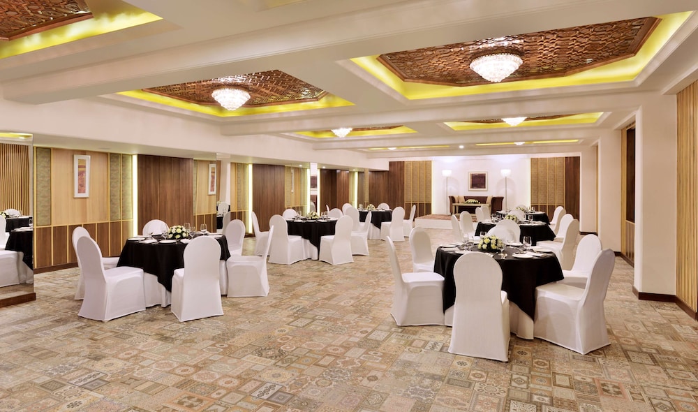 Radisson Srinagar 39/54