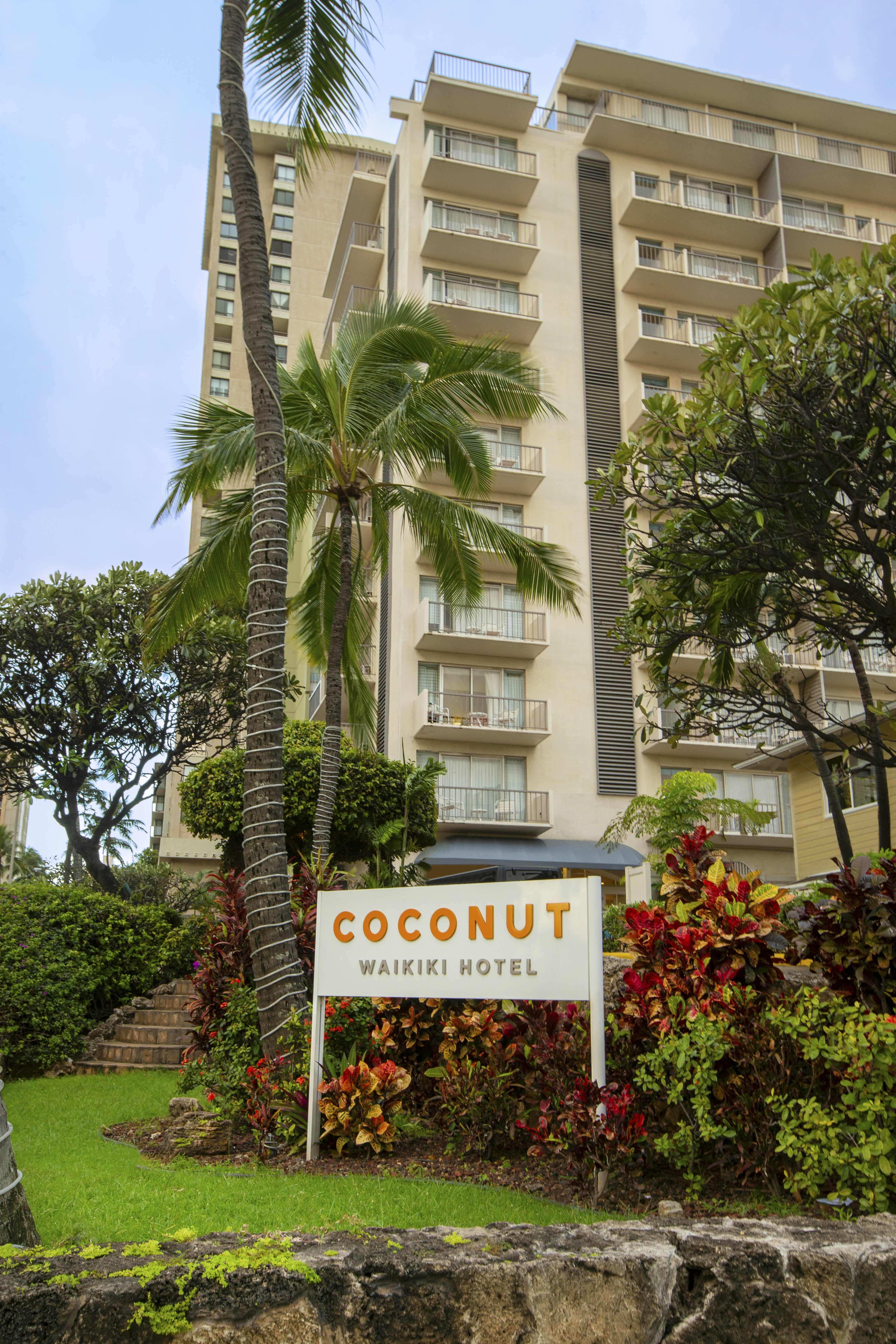 Coconut Waikiki Hotel 1/12