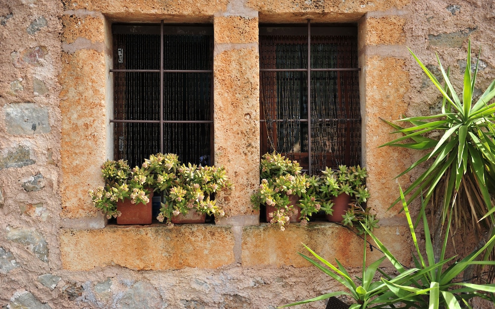 Finca Hotel Ses Cases Noves 1/50