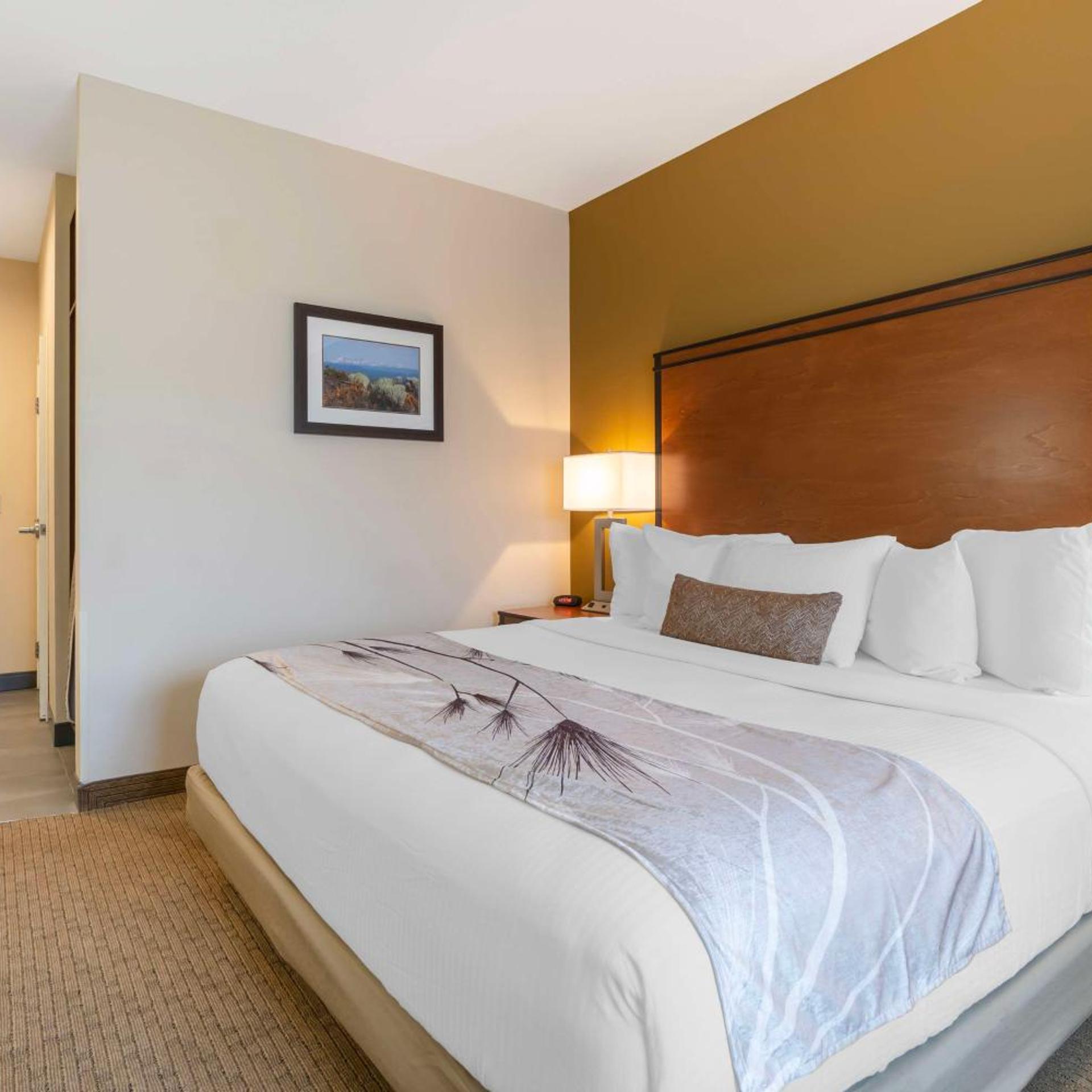 Room, King Bed, Accessible