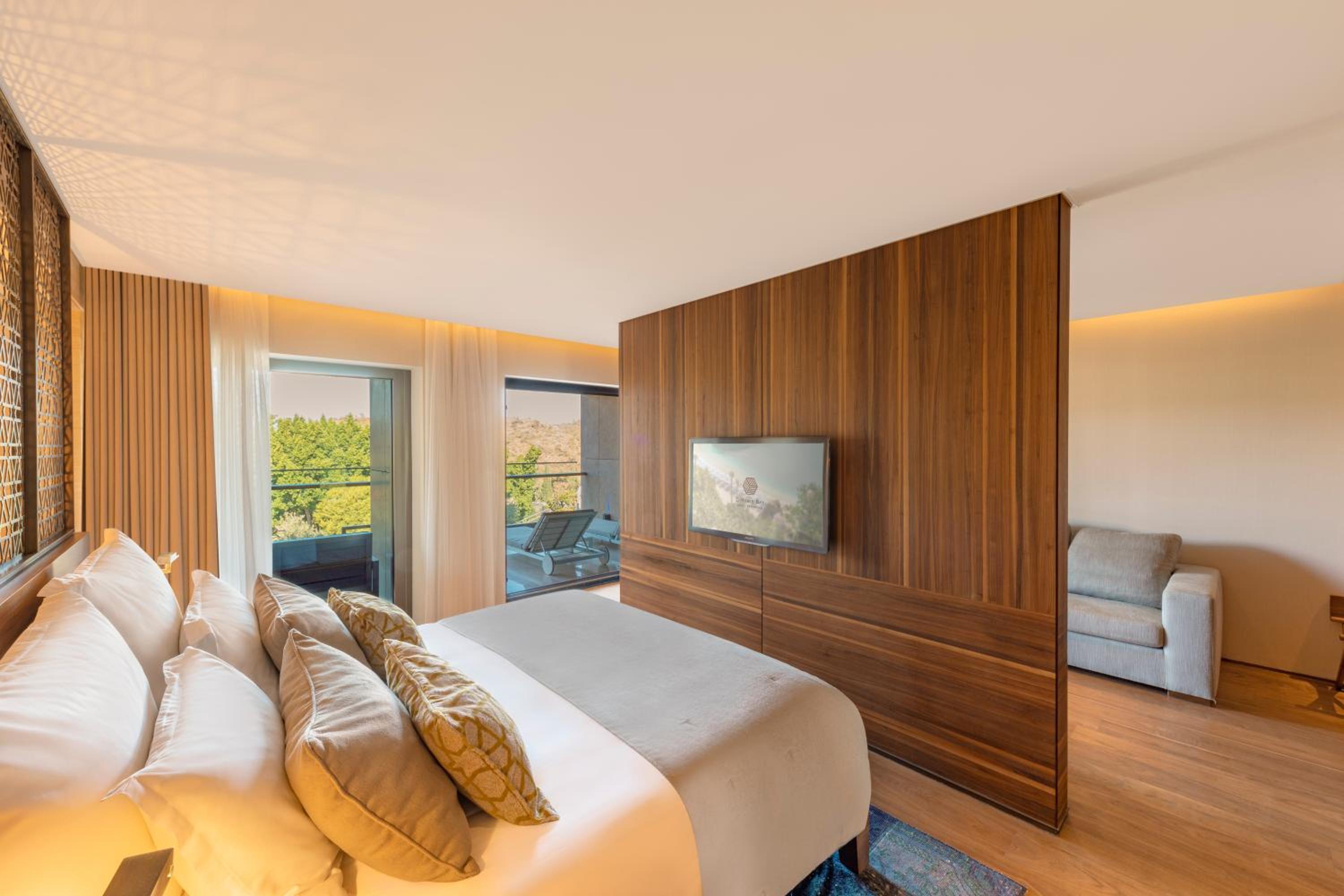 Junior Suite, Queen Bed, Land View