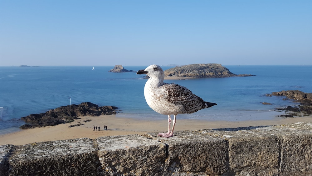 Comfort Hotel Dinard Balmoral 32/49