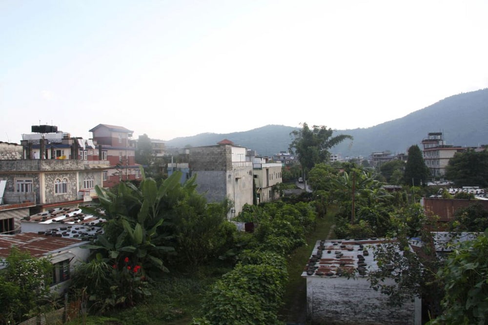surroundings